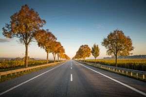 Sursa foto: Unsplash